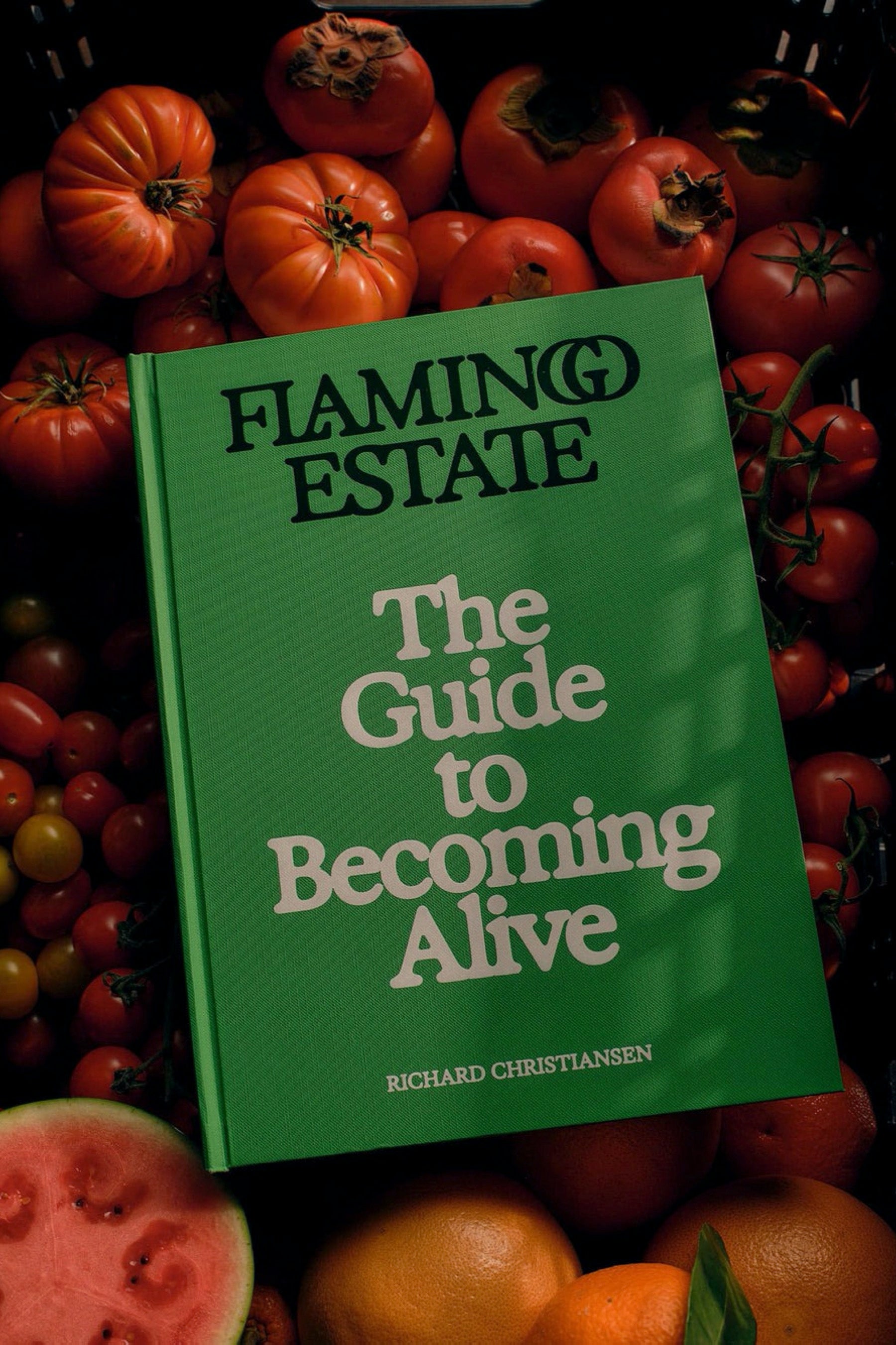 The Guide To Becoming Alive – Prism Boutique