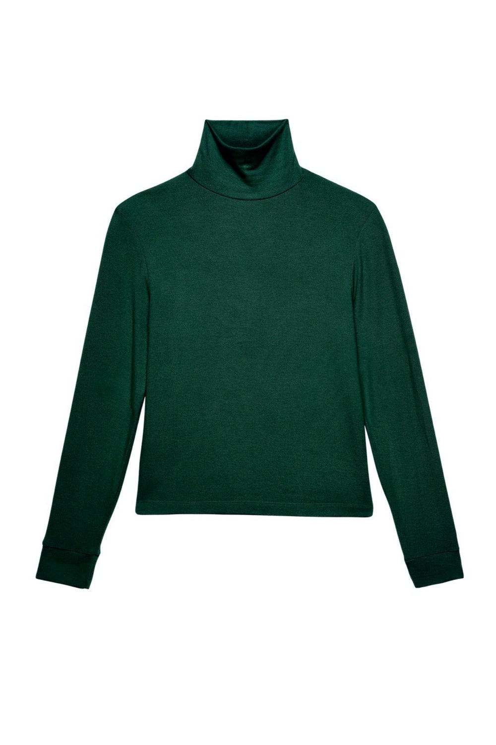 Vert Sweater Turtleneck