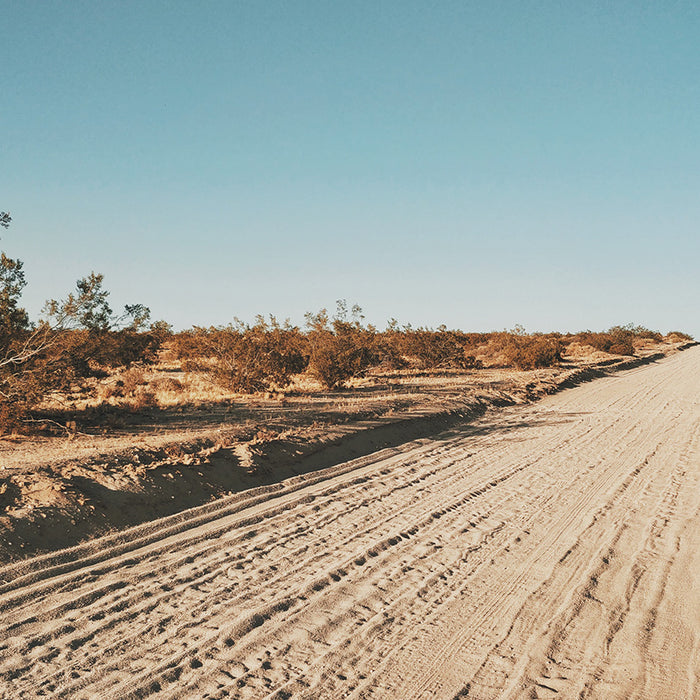 Dusty Trails with #TeamPrism Allison