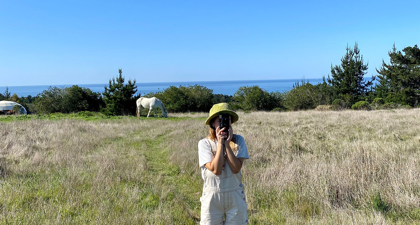 Up the California Coast With Kate aka @kactus.jpg