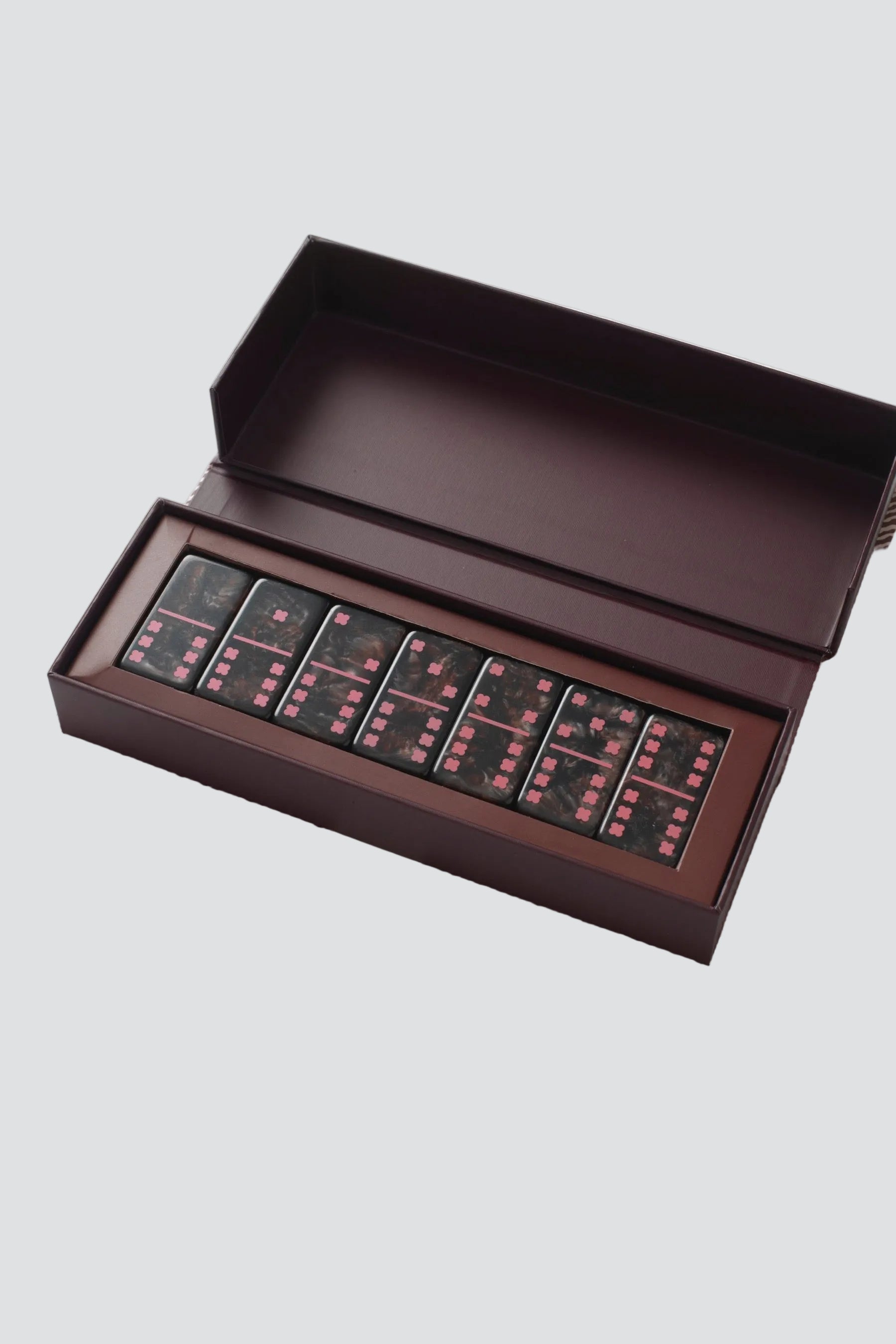 Dominoes Game Set