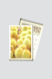 Cacti & Desert Dreams Calendar
