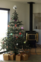 A Frame House Ornament