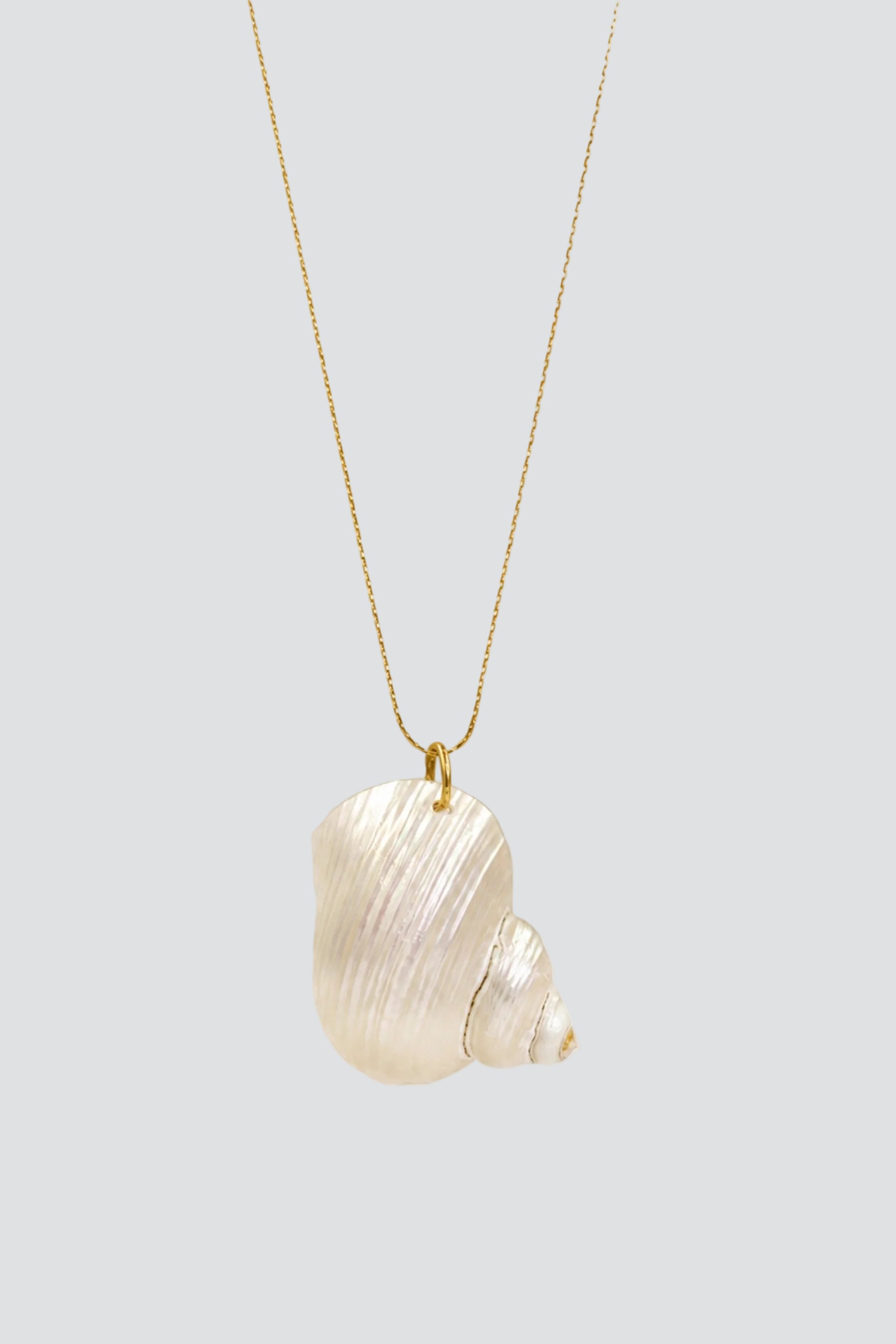 Gold Turbo Shell Necklace
