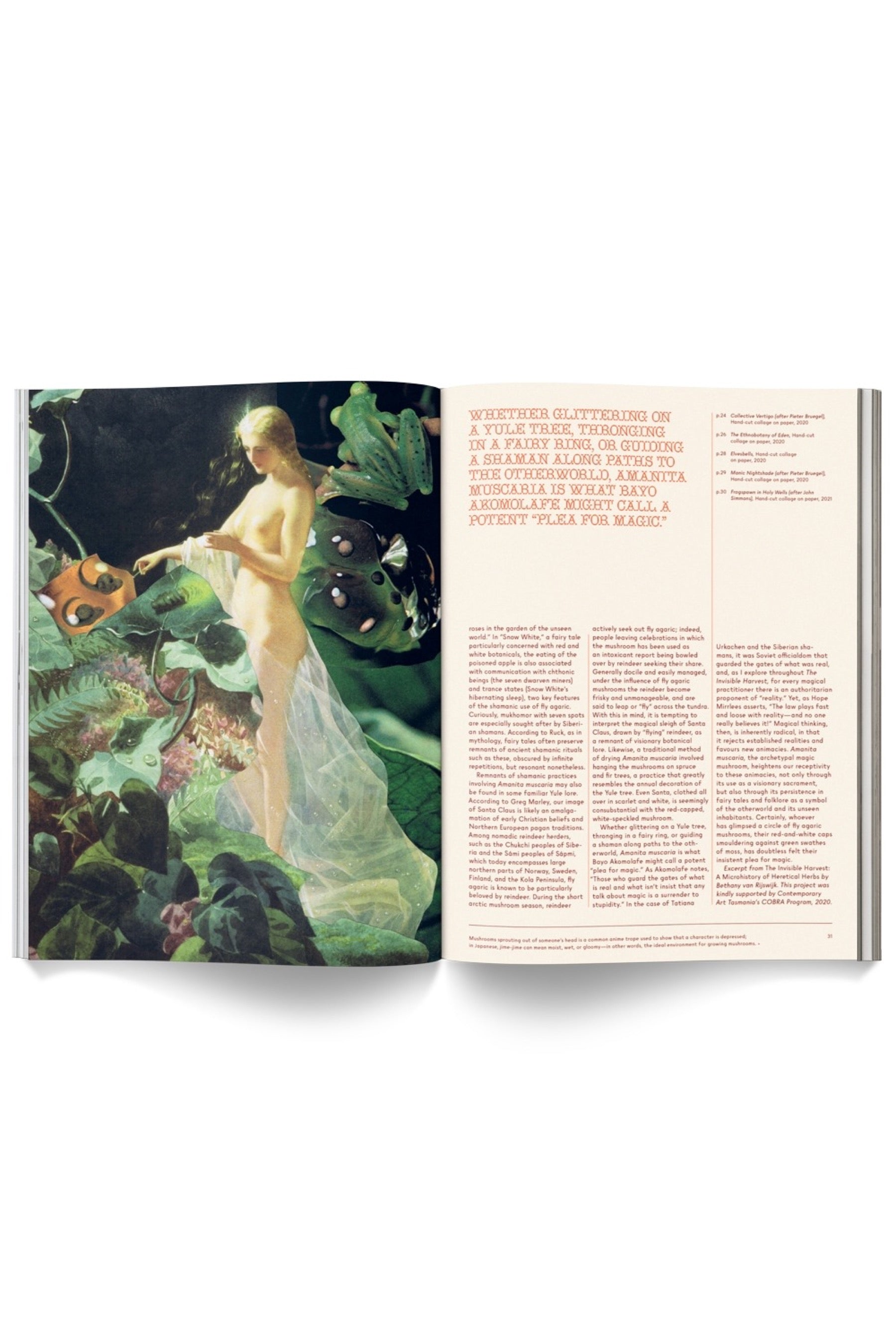 Mushroom People Magazine