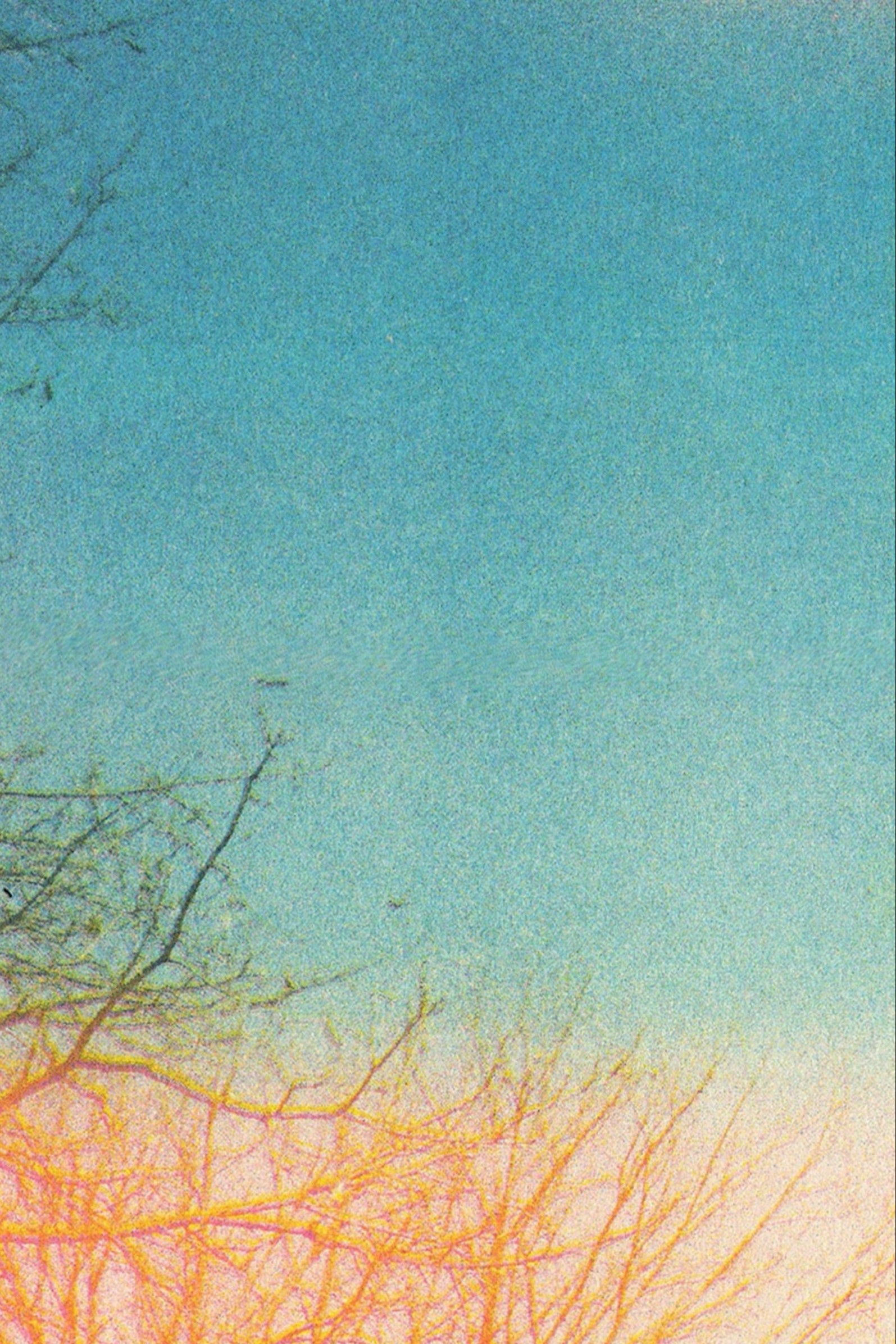 Sky Risograph Print