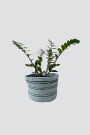Blue Green Stripe Basket