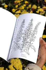 Buds Along The Path Coloring Book