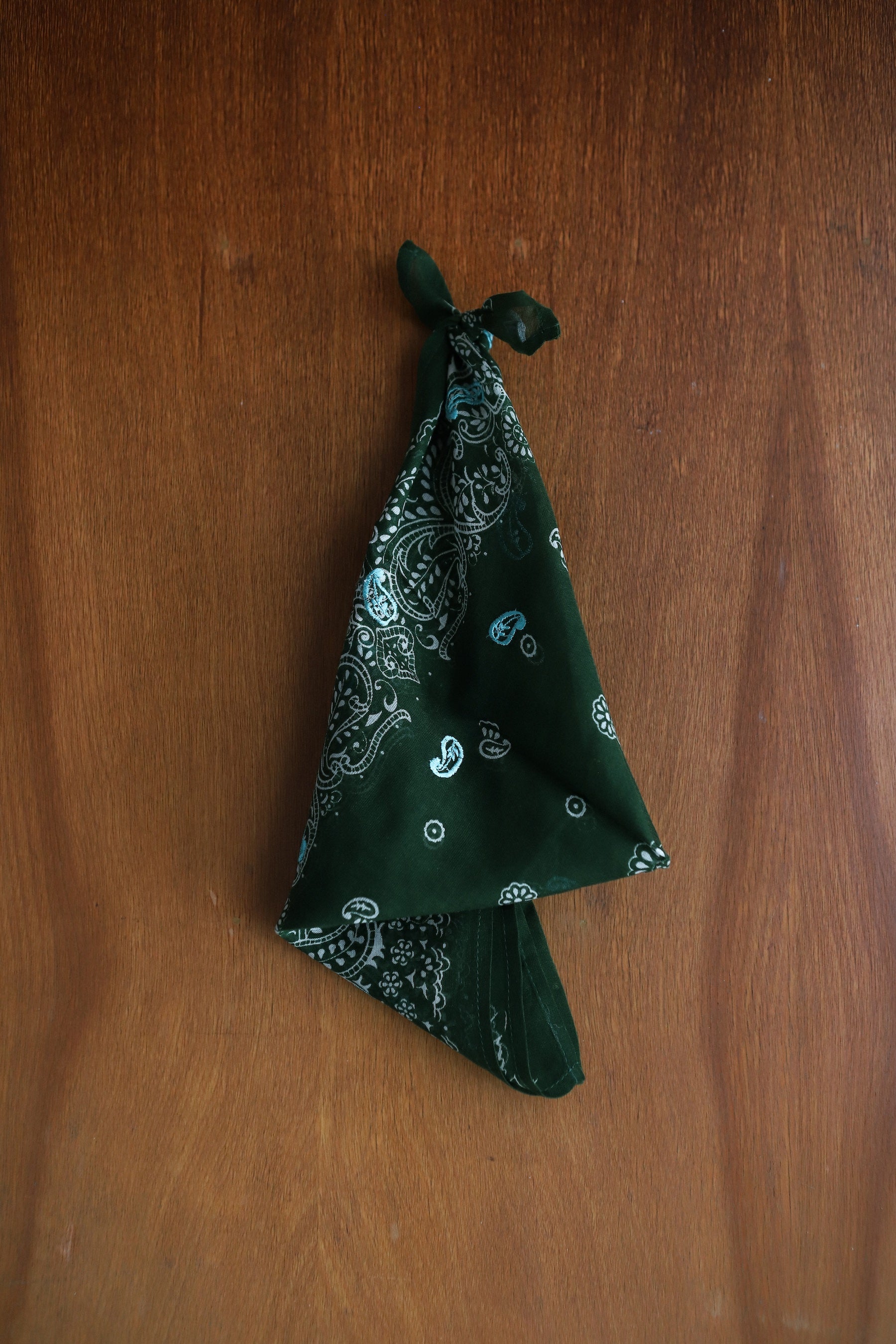 Eden Green Paisley Bandana