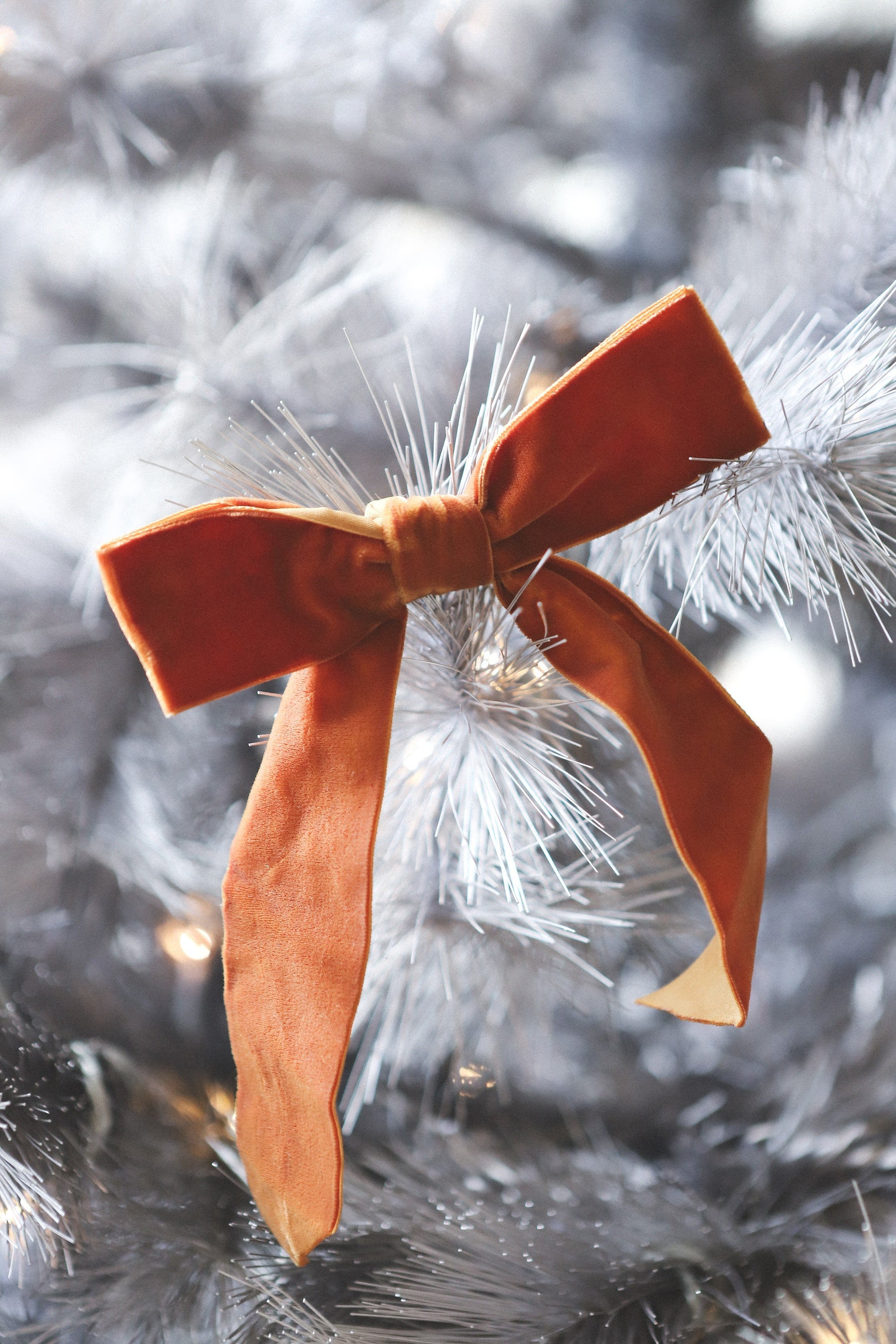 Velvet Bow Ornament Set