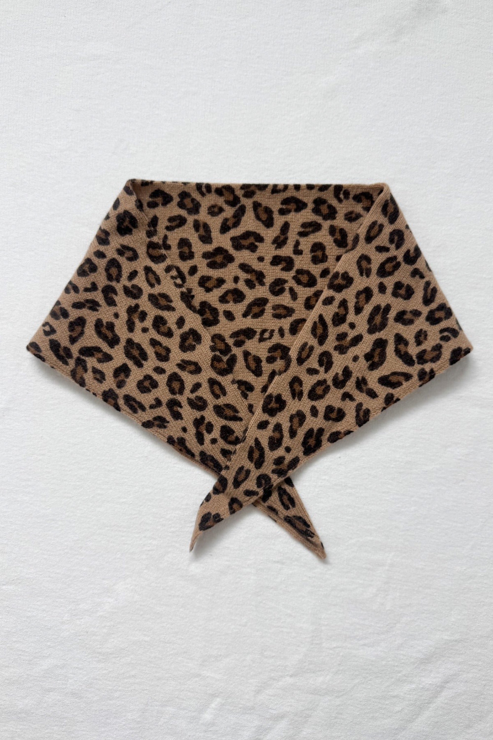 BANDANA-LEOPARD1.jpg