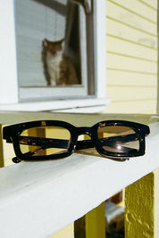 Black Tortoise Head Rattle Sunglasses