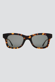 Tortoise Suntan Underground Sunglasses