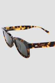 Tortoise Suntan Underground Sunglasses