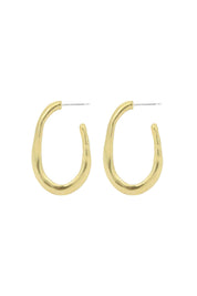 Bronze Lake Hoops