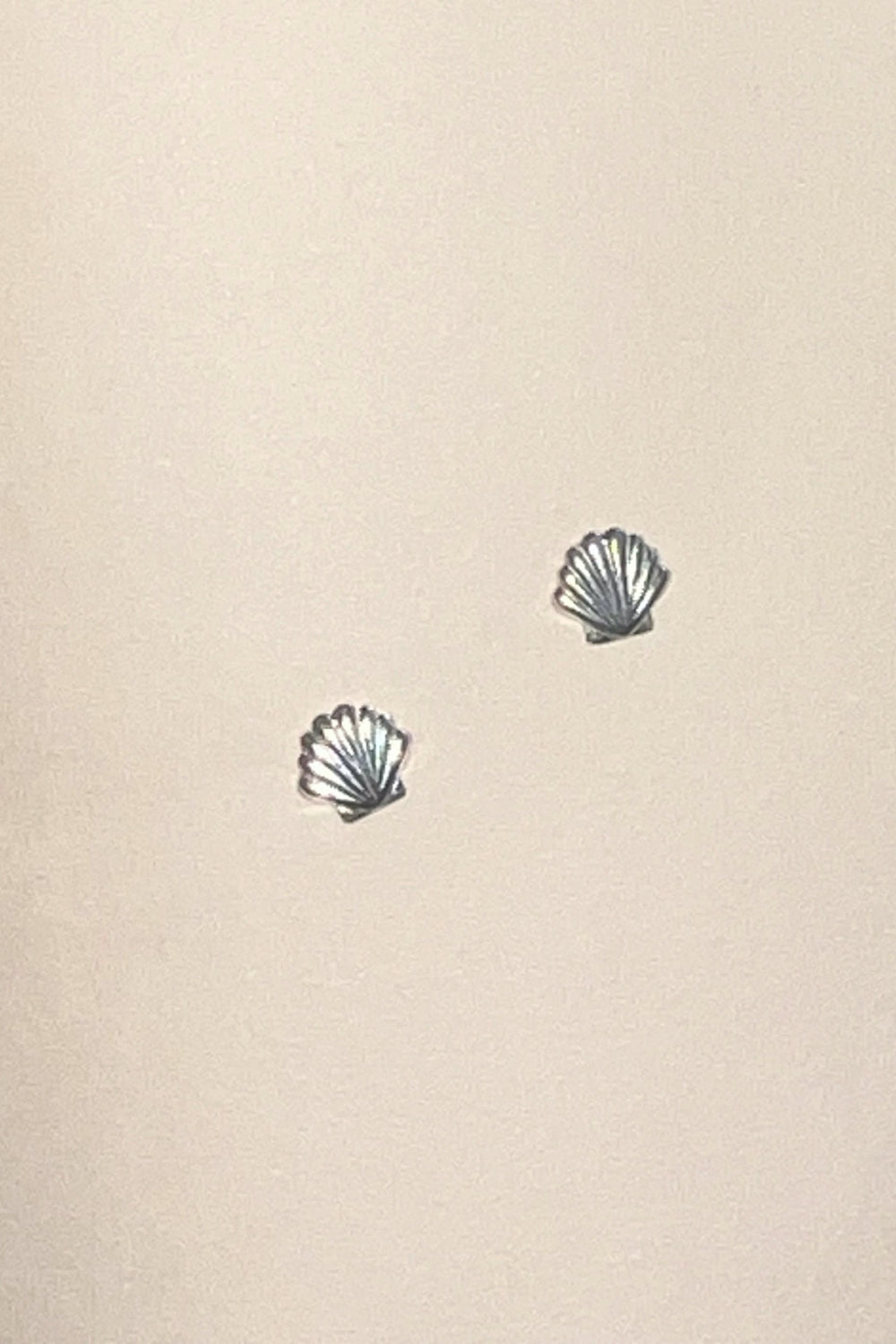 Silver Clam Studs