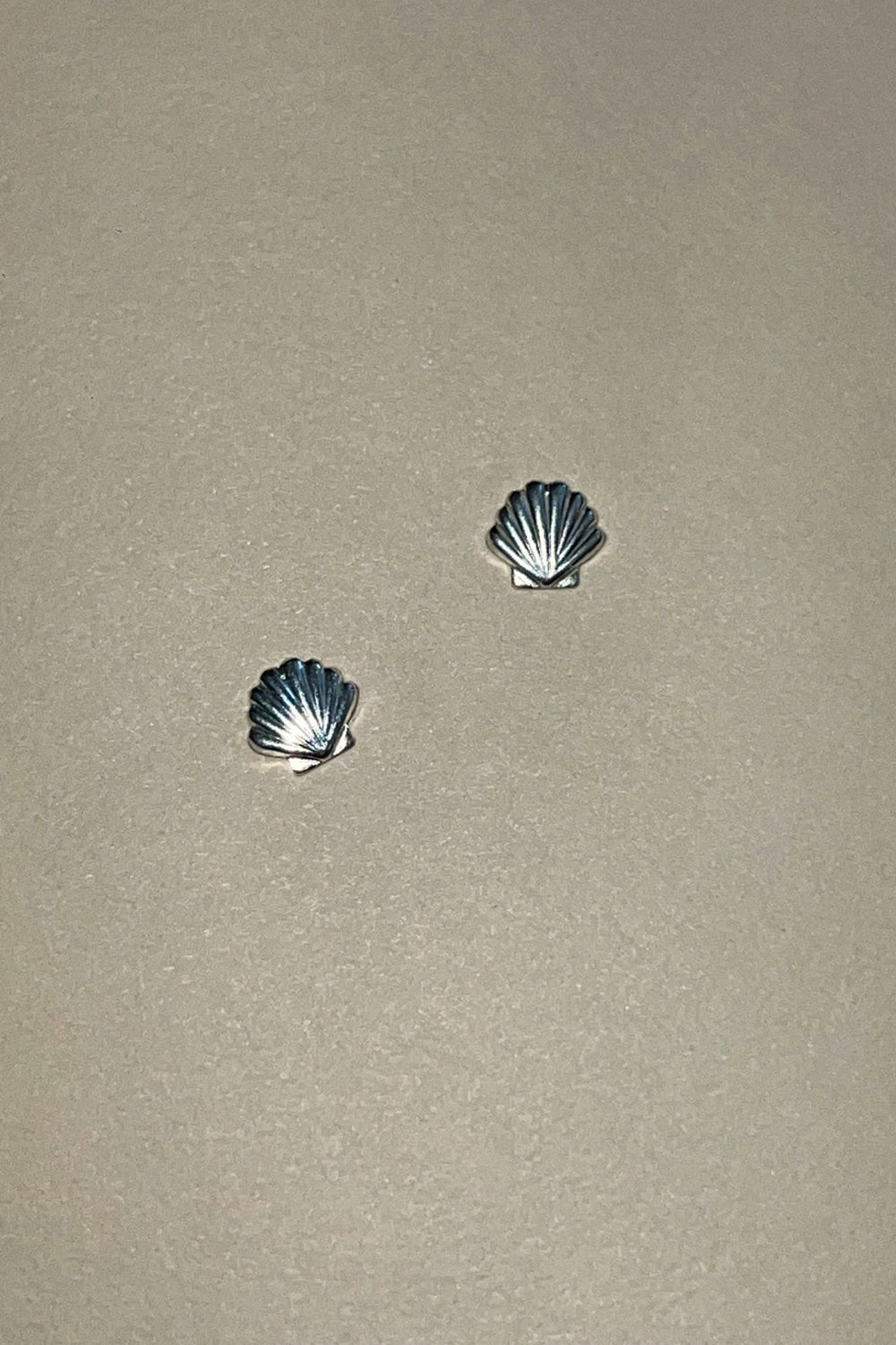 Silver Clam Studs