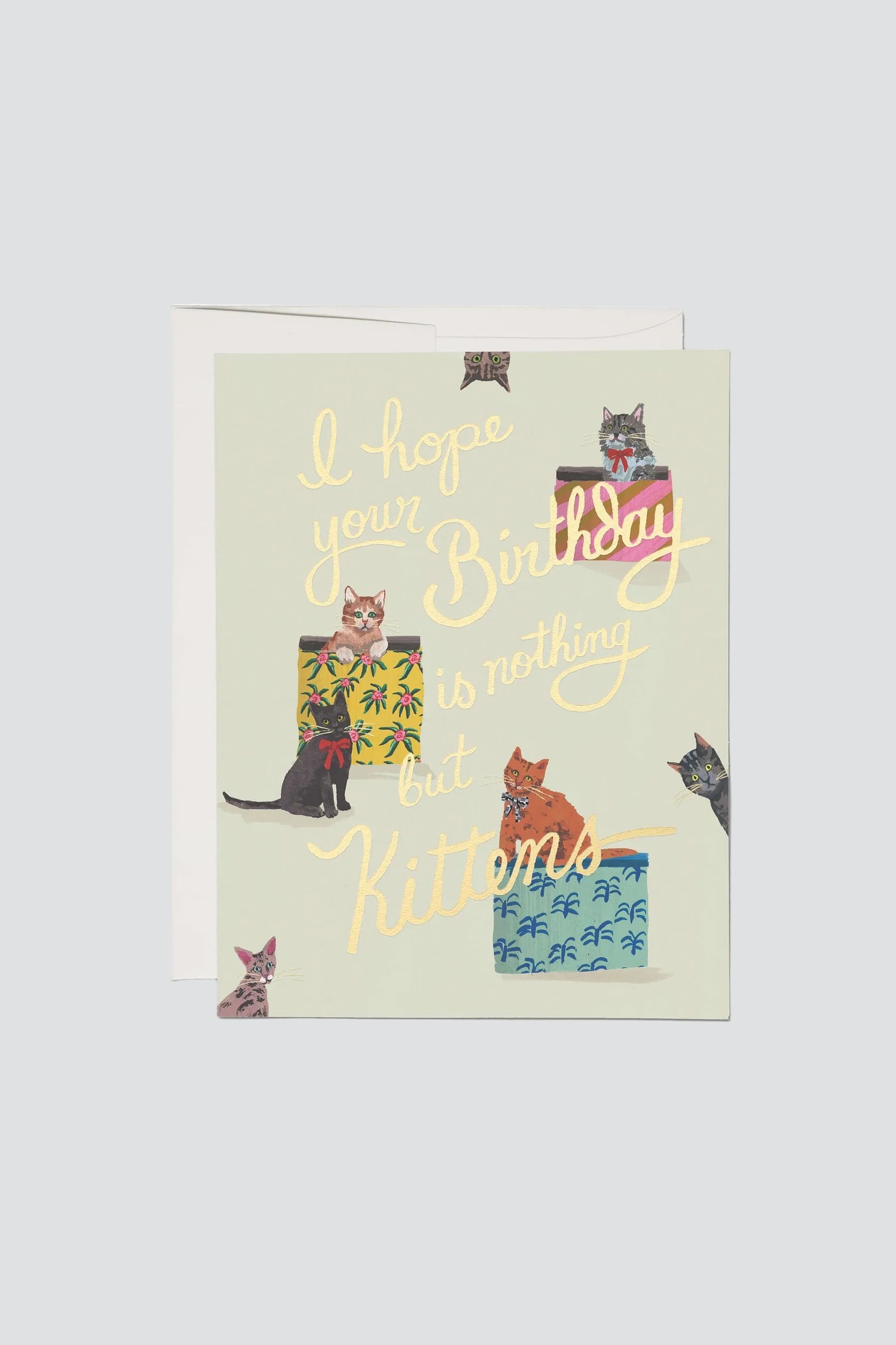 Nothing But Kittens Card