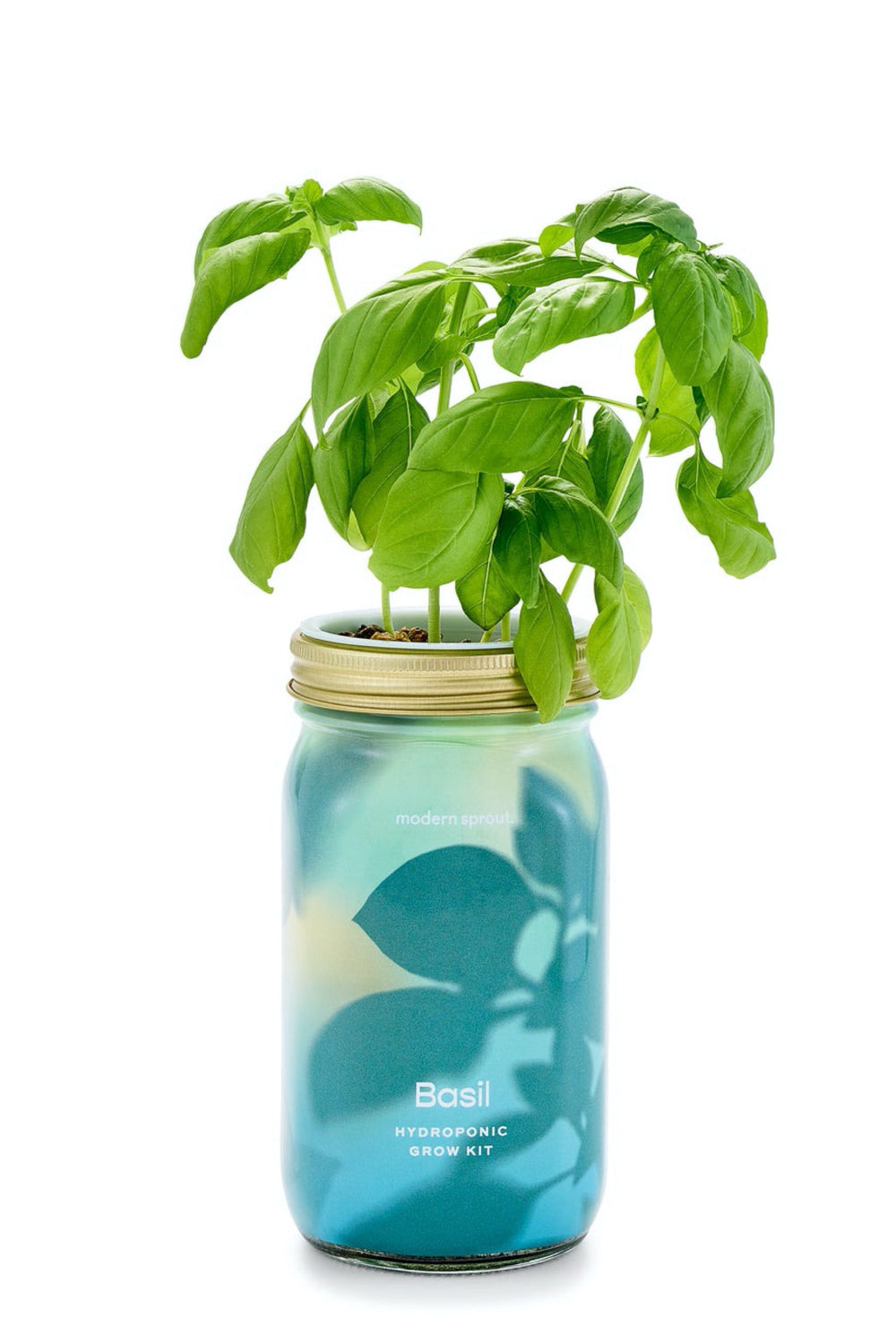Basil Garden Jar