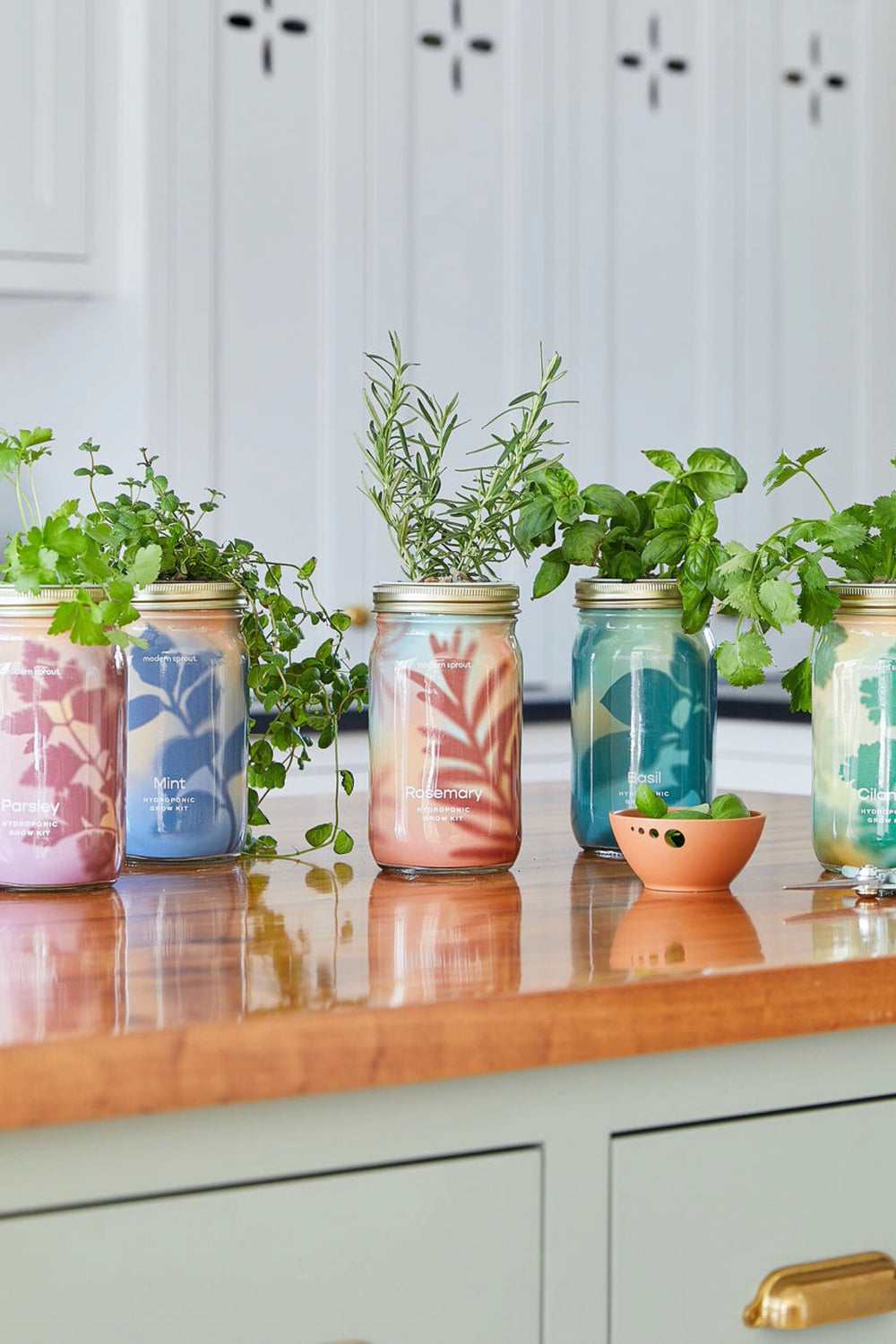 Mint Garden Jar