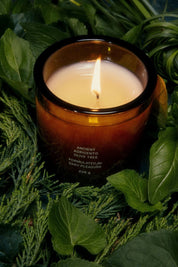 Ancient Agrigento Olive Tree Candle