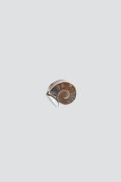 Silver Ammonite Fossil Ring