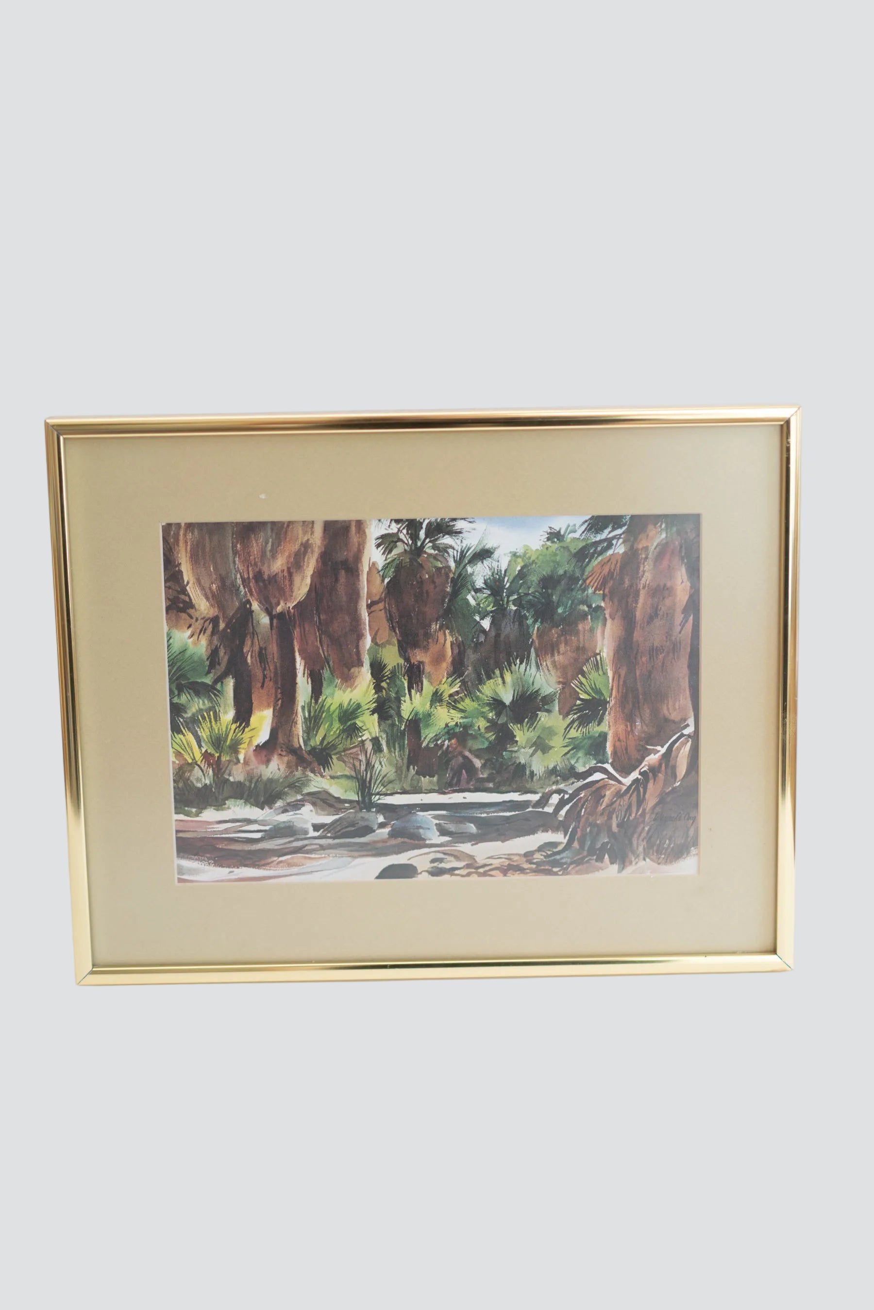 Desert Oasis Watercolor Framed Art