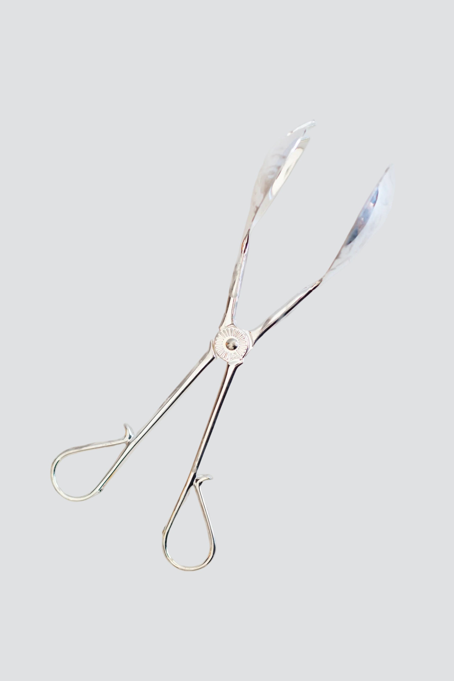 Silver Tongs