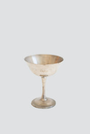 Silver Goblet