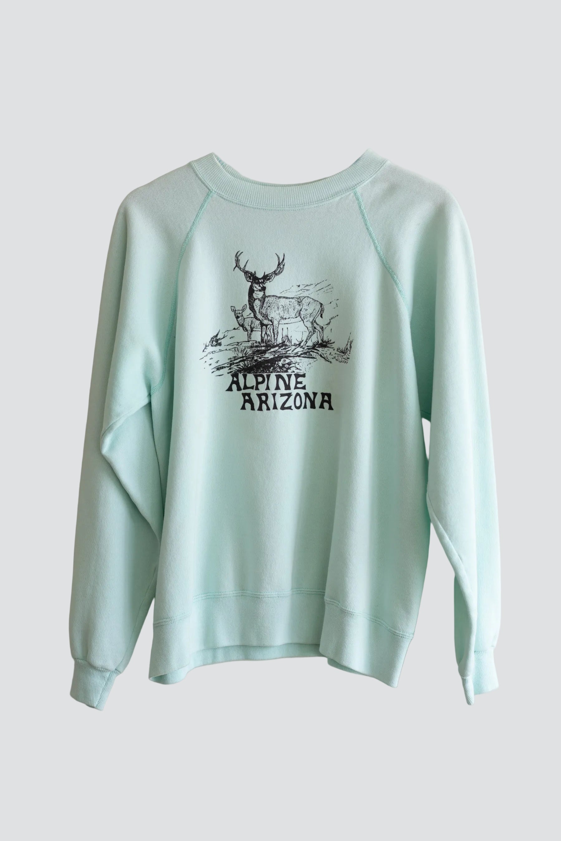 Alpine AZ Sweatshirt