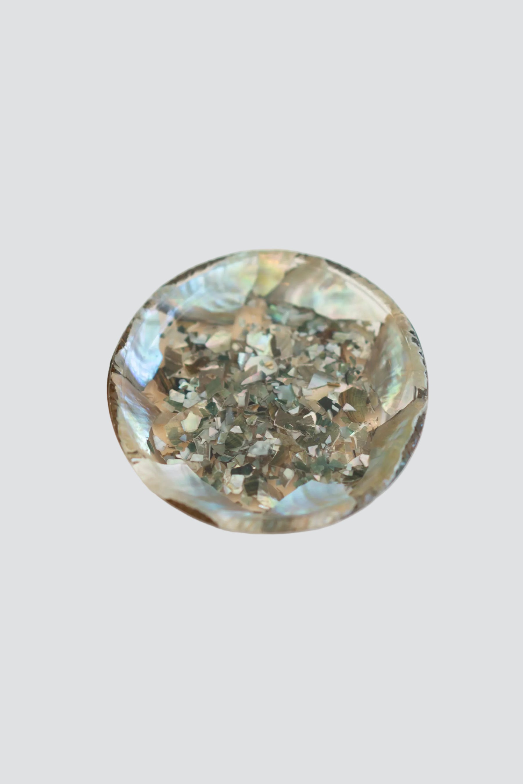 Fragmented Shell Acrylic Dish