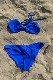 Blueberry Classic Bottom