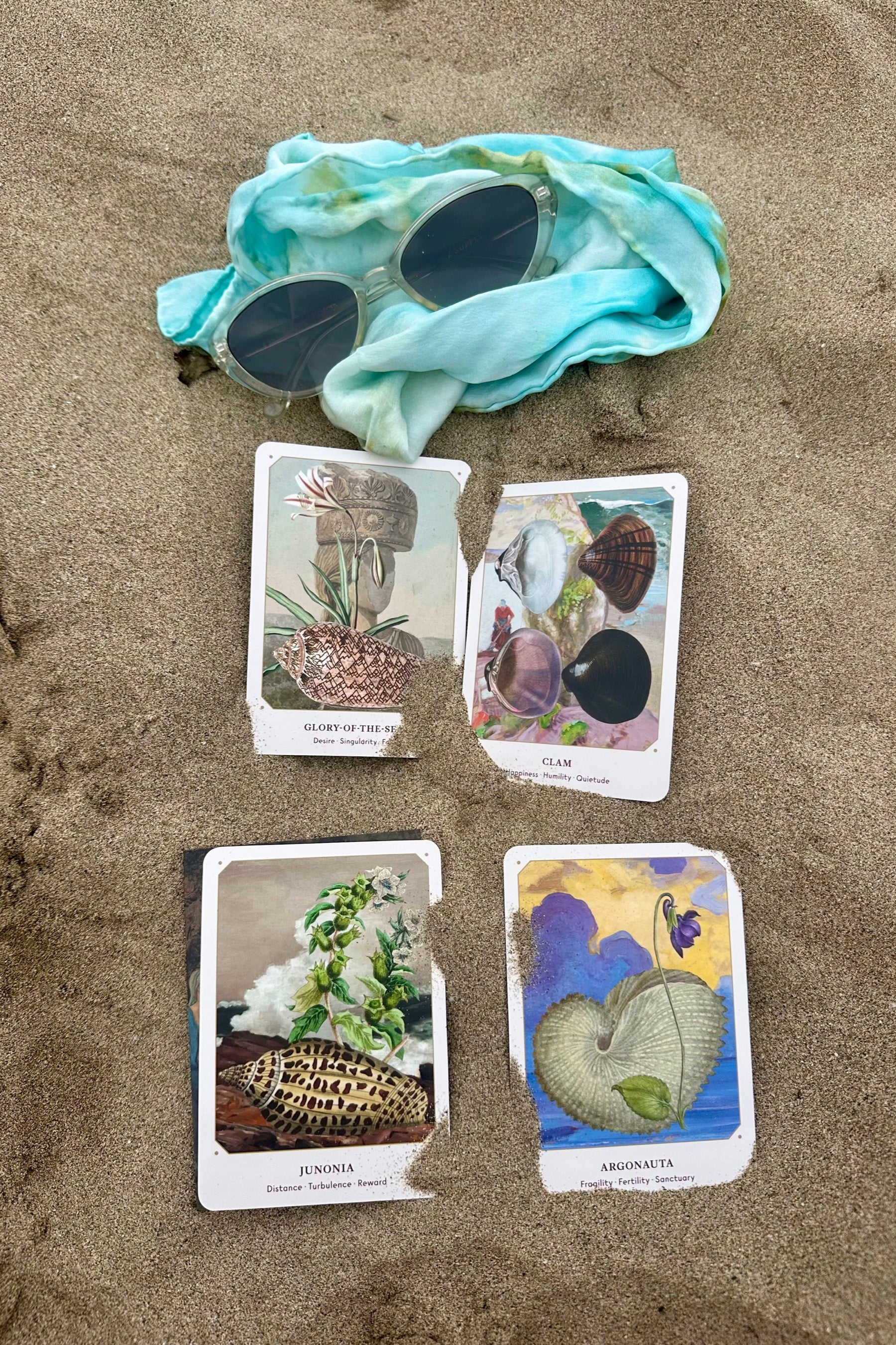 Sea Shell Oracle Pathfinder The Seashell Oracle – Prism Boutique
