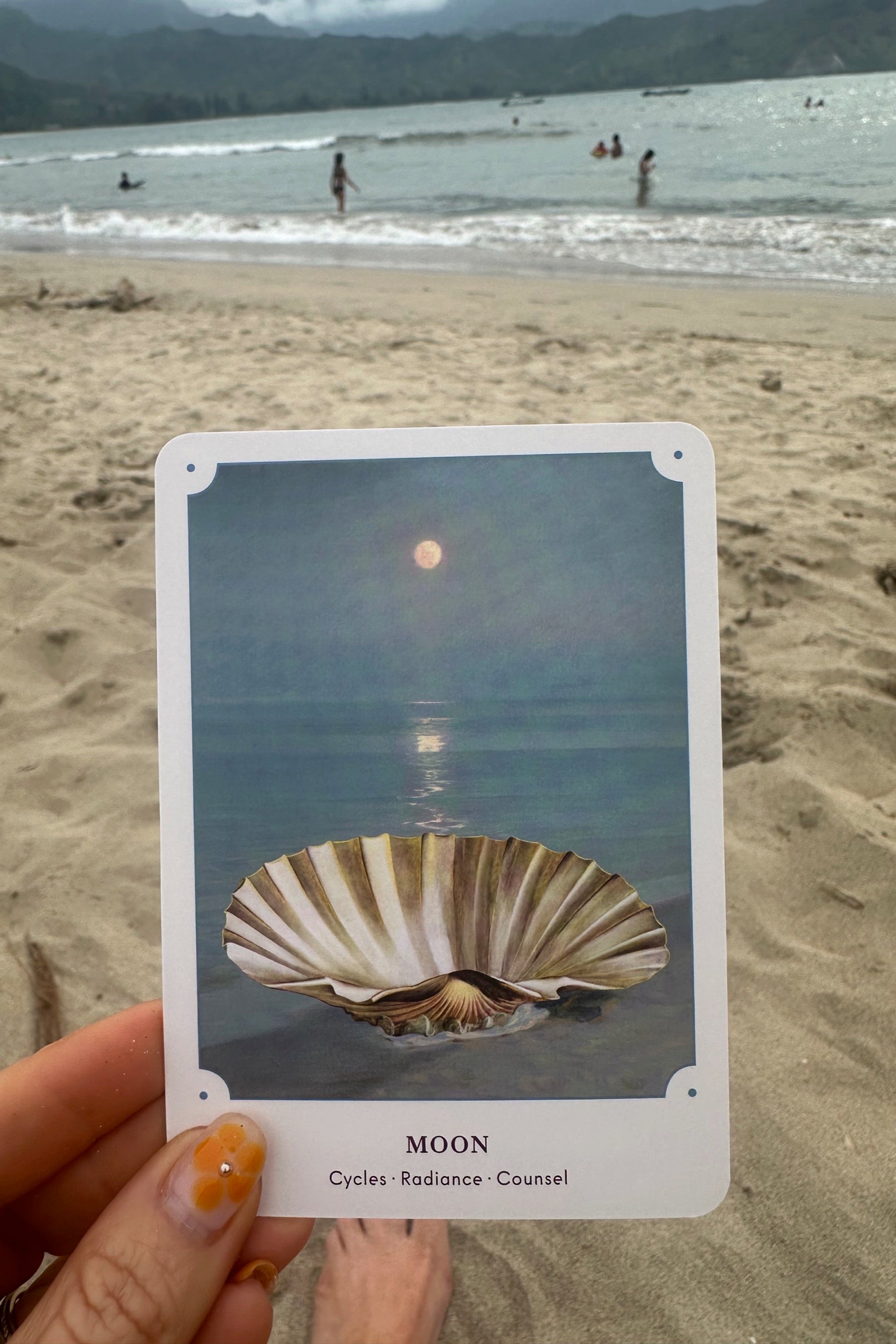 The Seashell Oracle