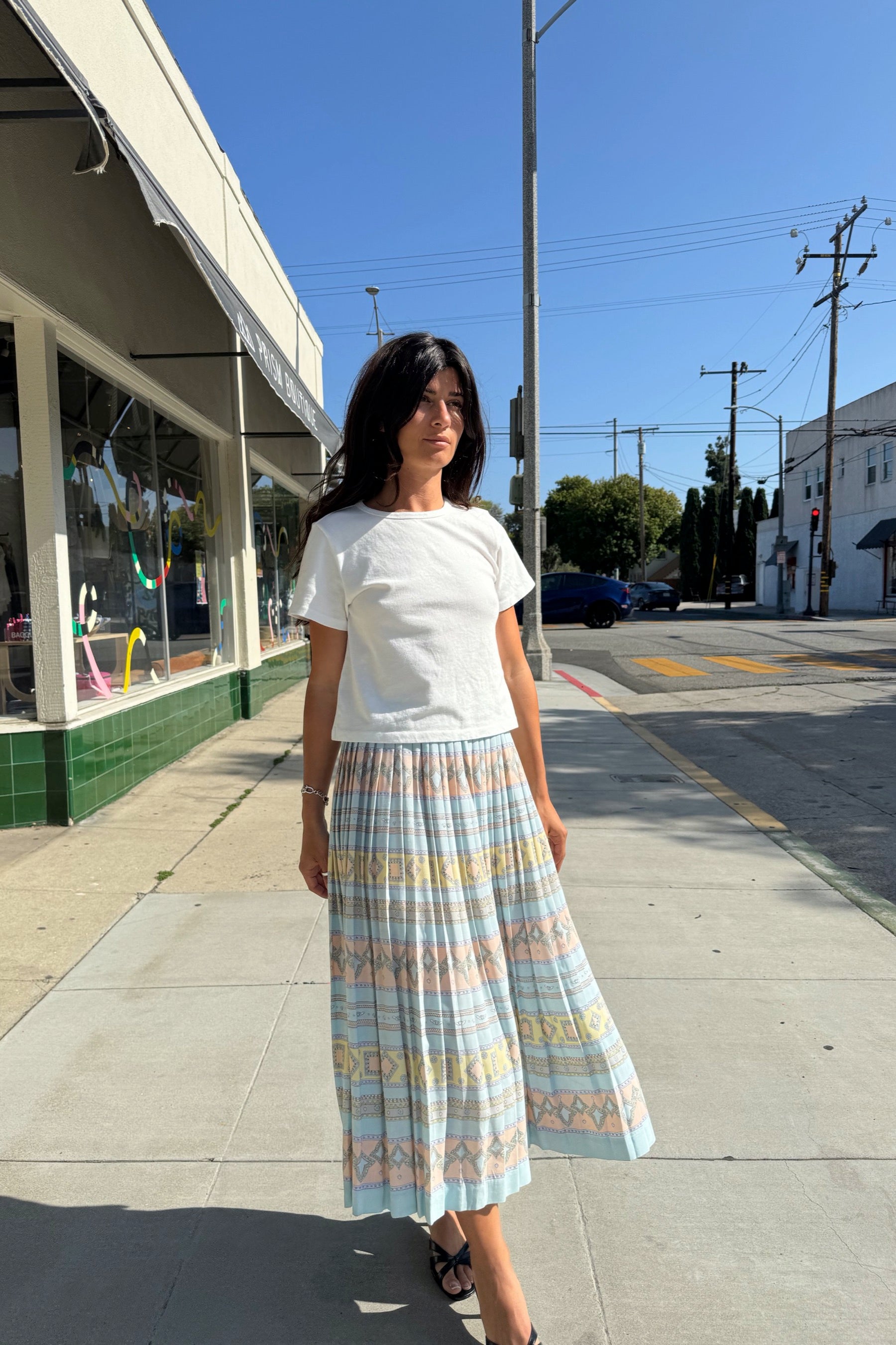 Chaus Pastel Pleated Skirt