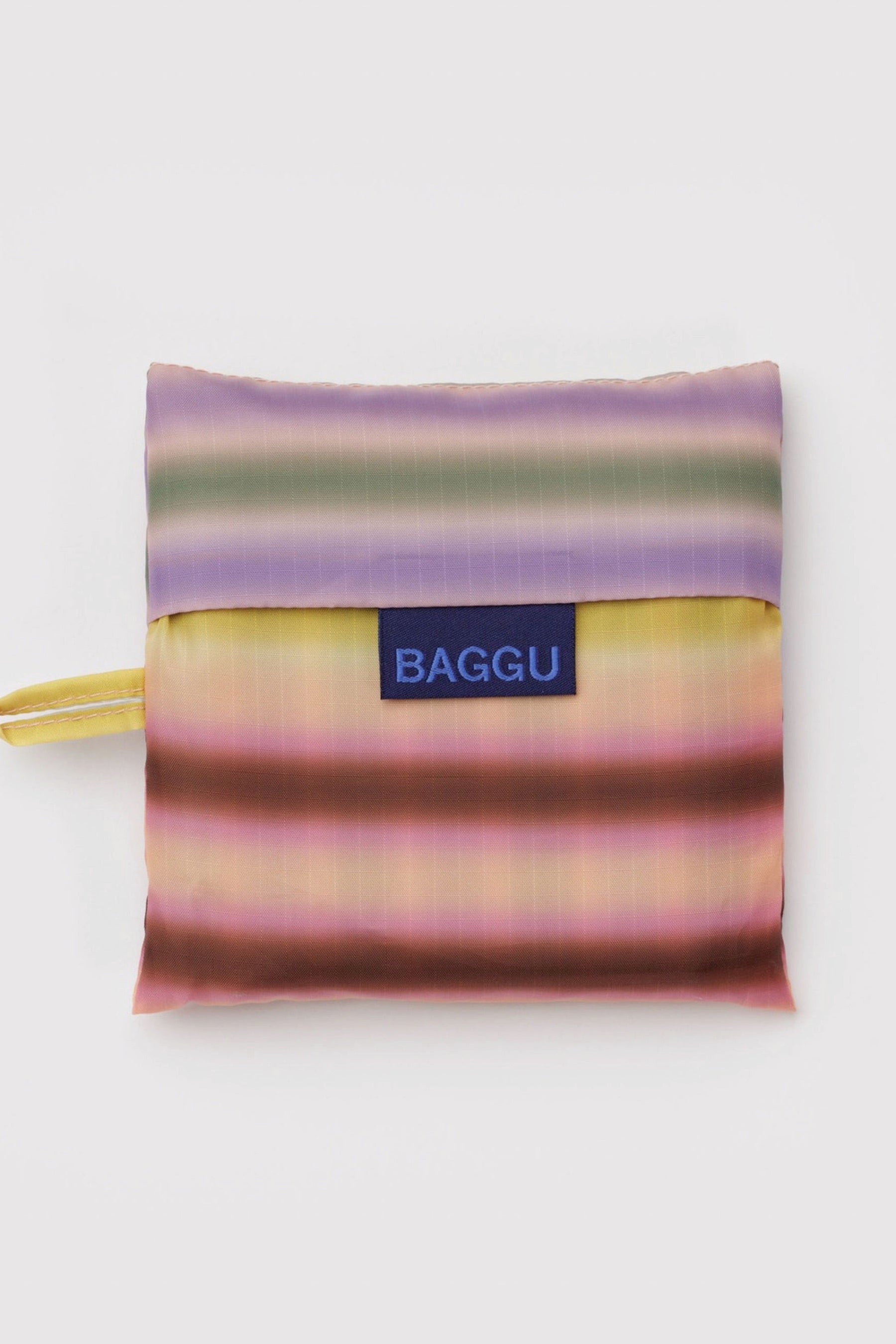 Gradient Stripe Baggu