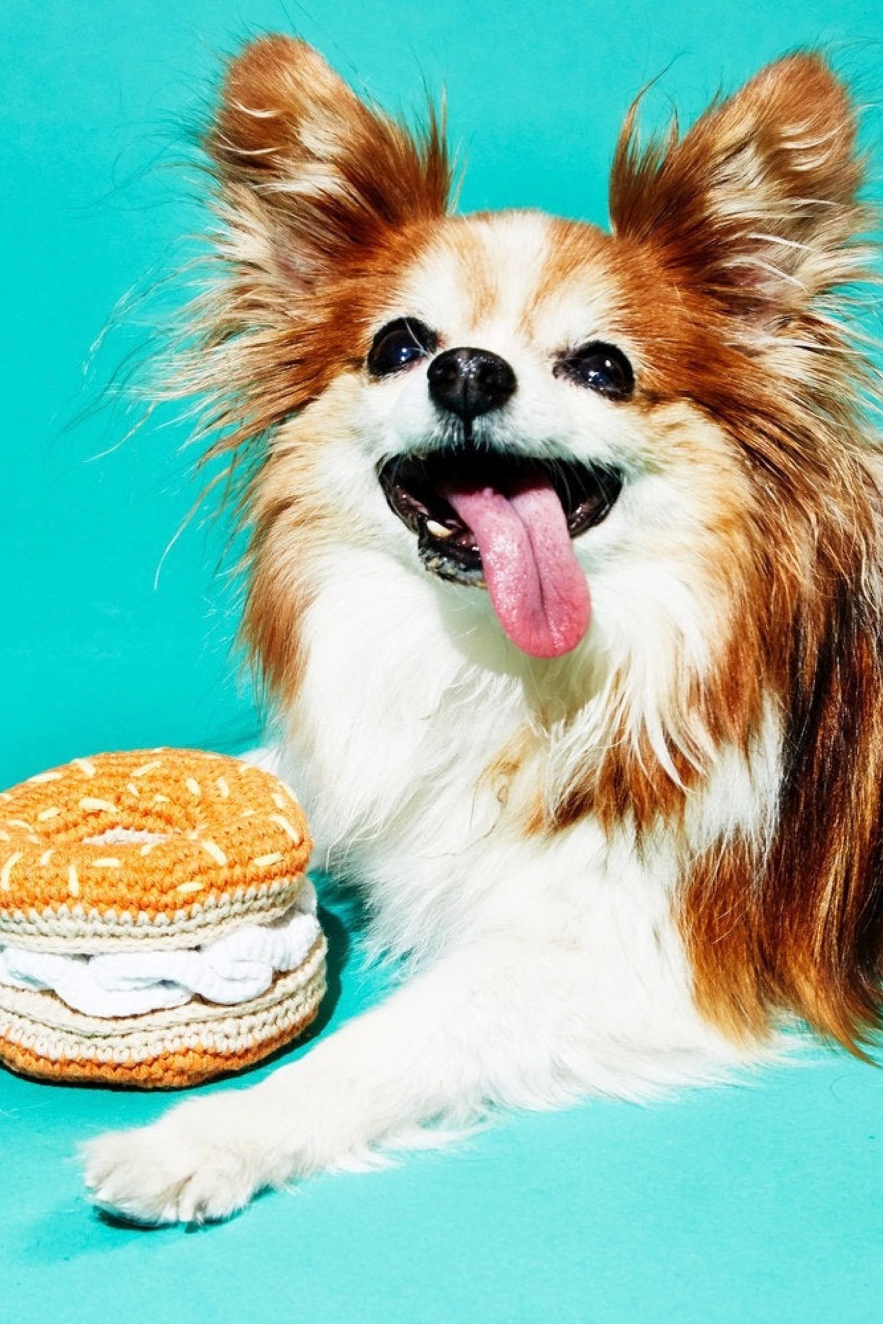 Bagel Crochet Dog Toy