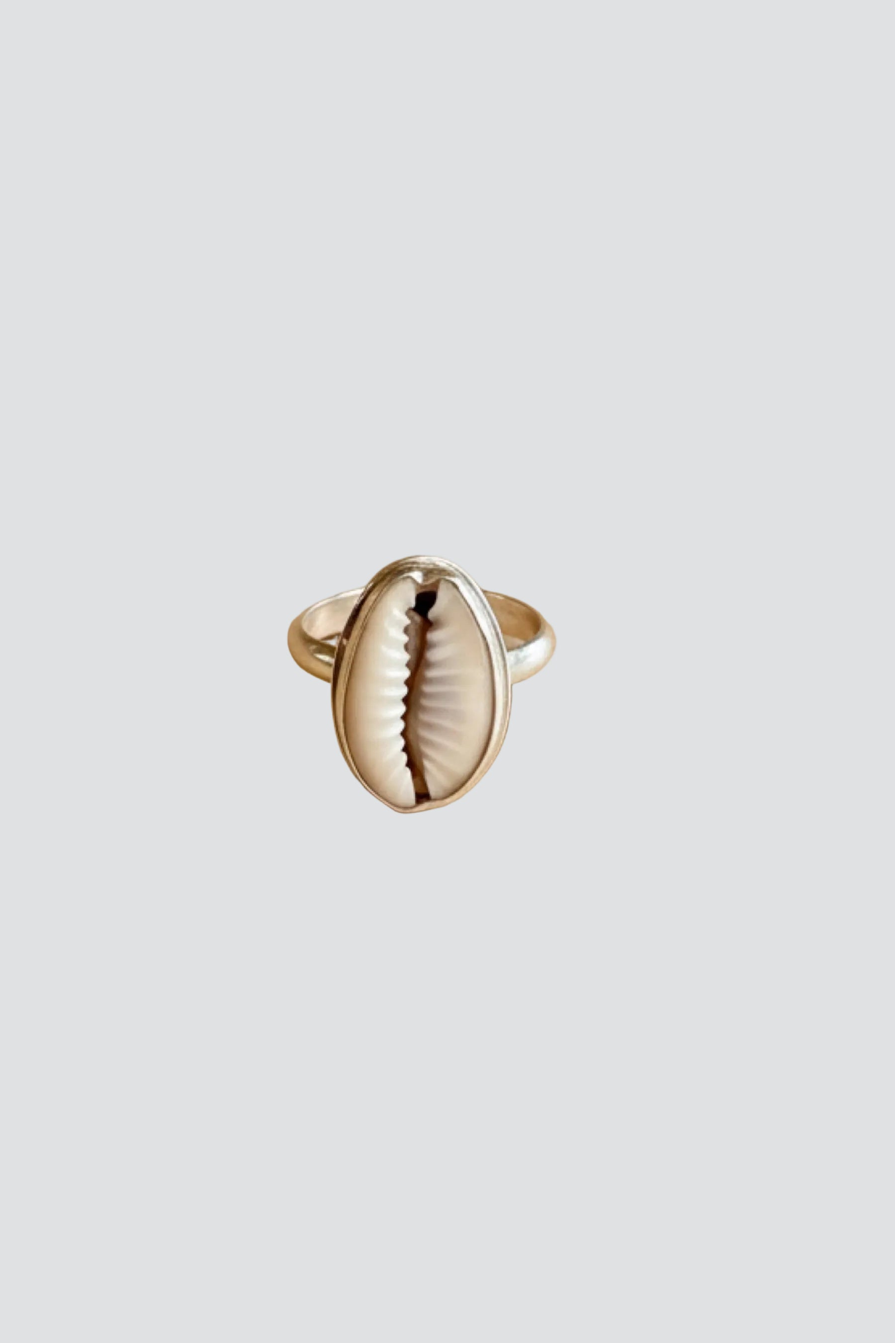 Silver Cowrie Ring