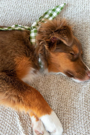 Forest Gingham Necktie