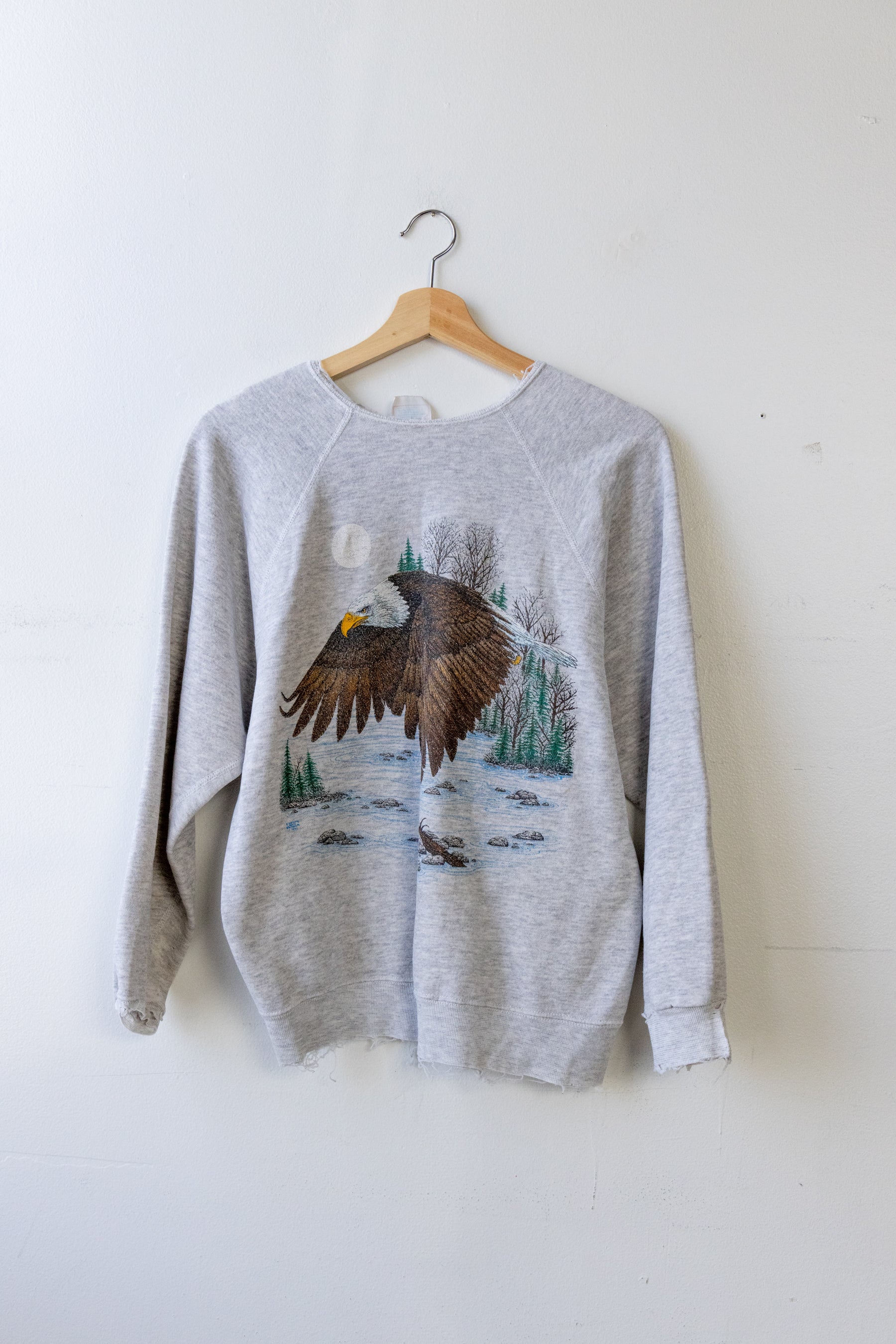 Eagle Raglan Sweatshirt