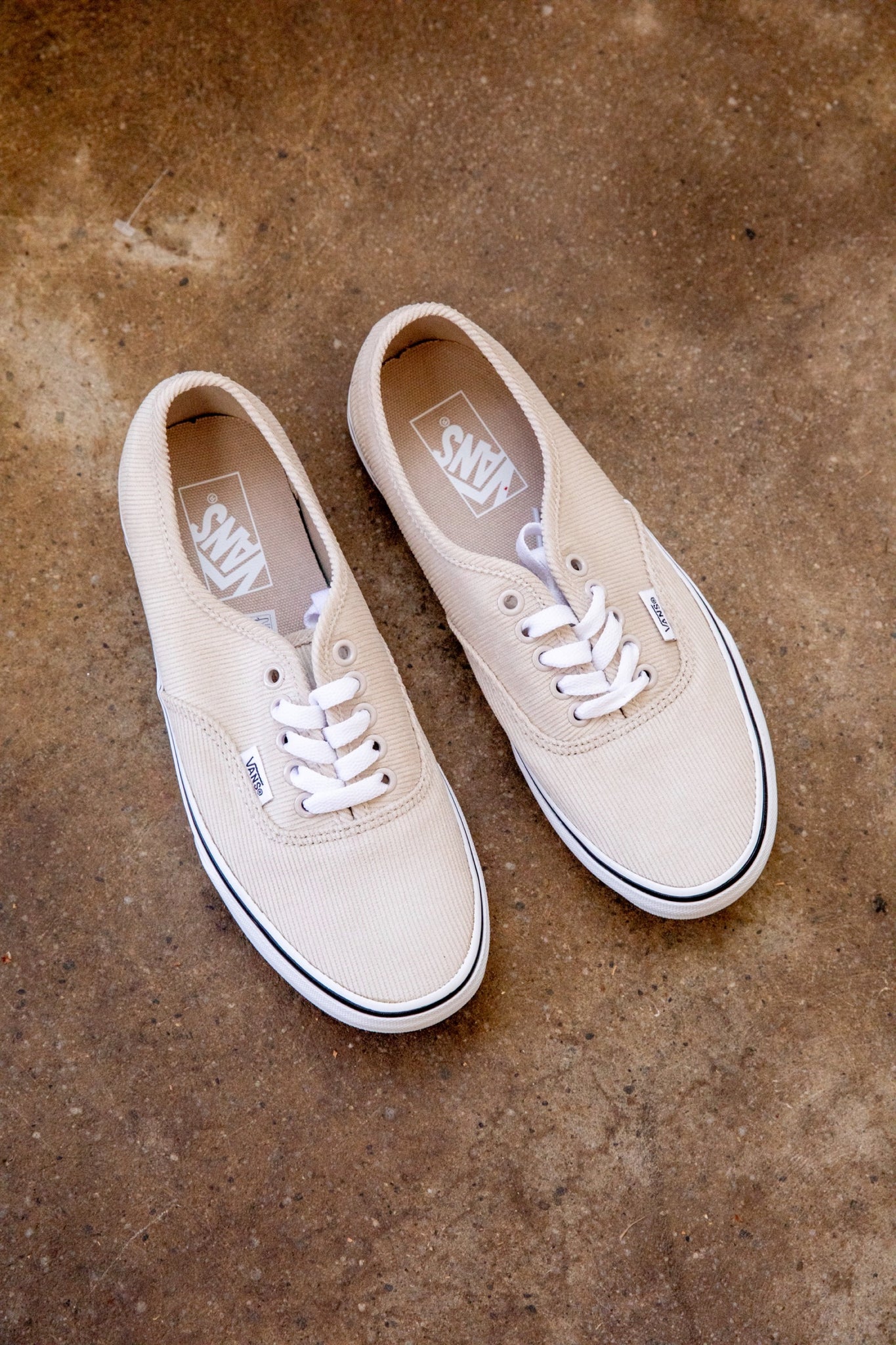 Vans france incredible boutique