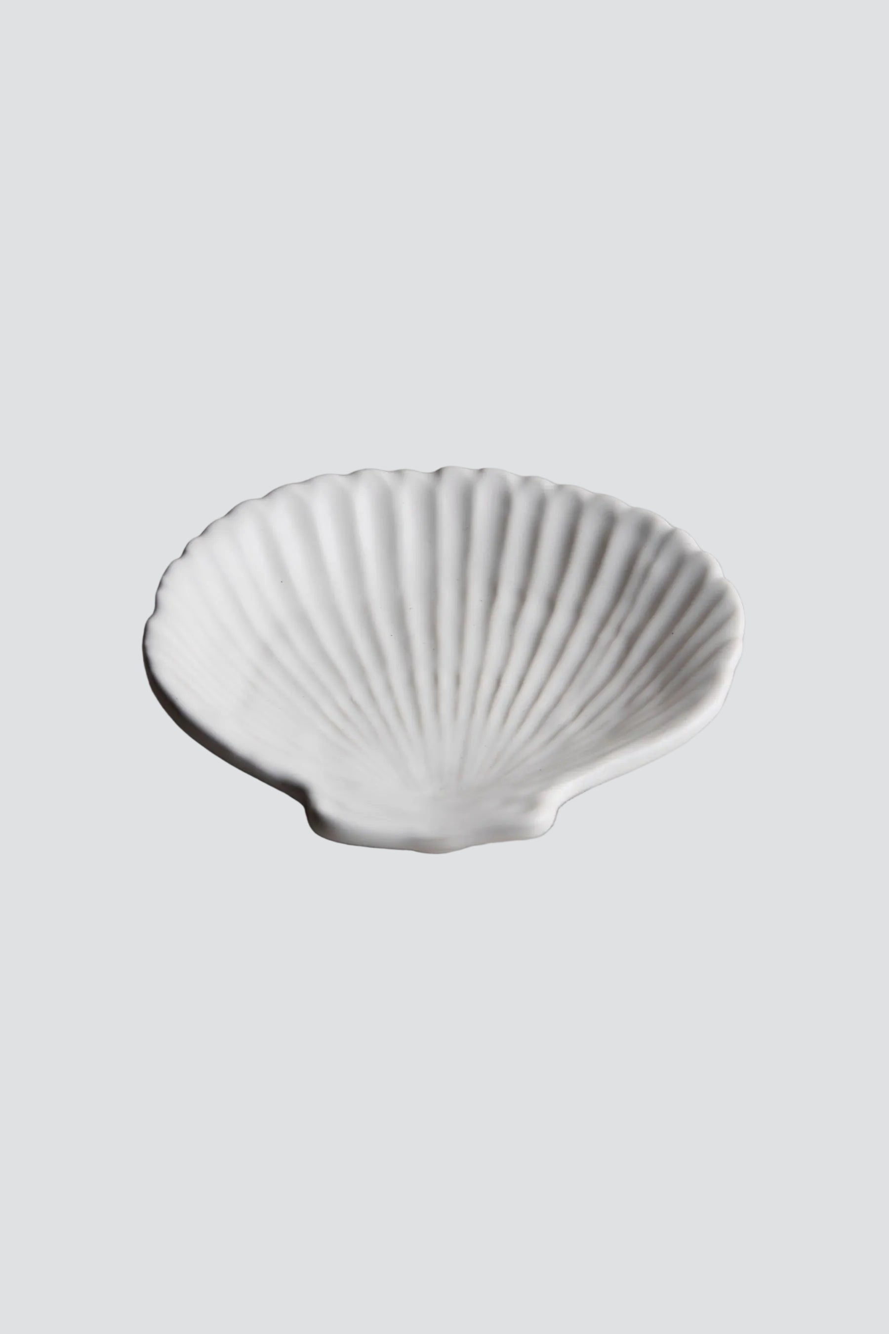 shell-dish_2_7962e8fd-5494-48a2-befb-8a950fbafa94.jpg