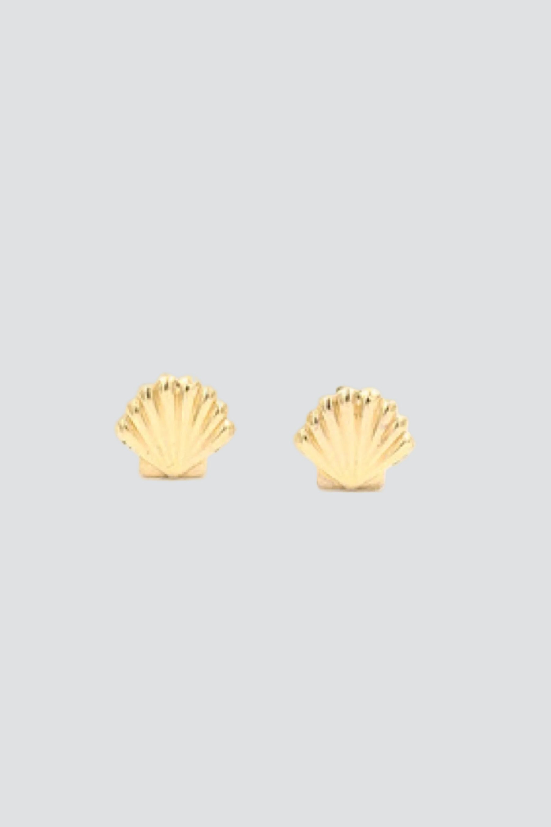 shellstuds.jpg