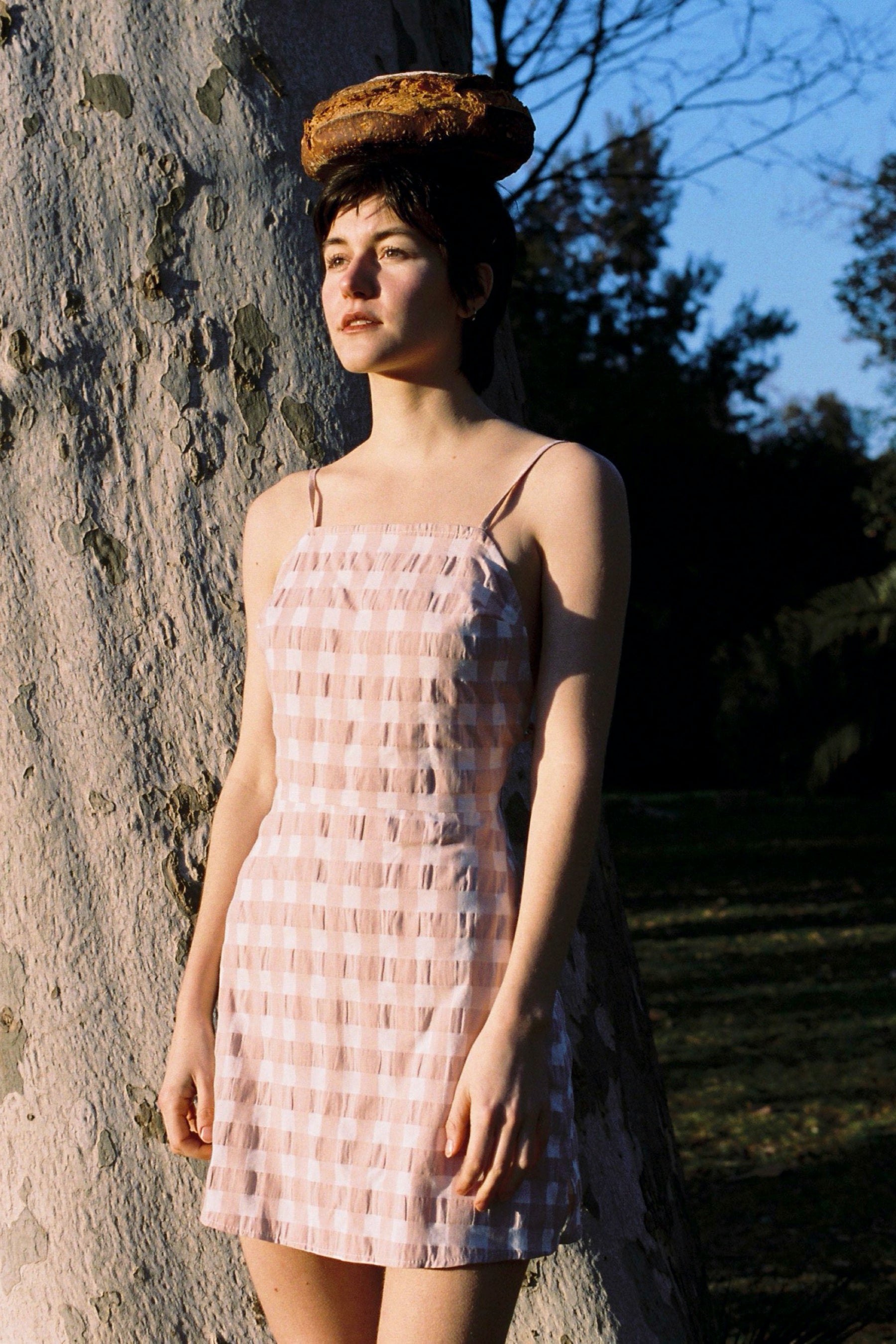 Gingham Lua Dress