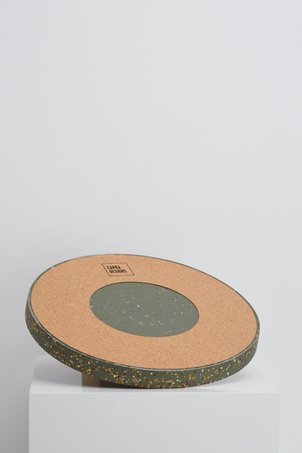 Large Agave Terrazzo Tray