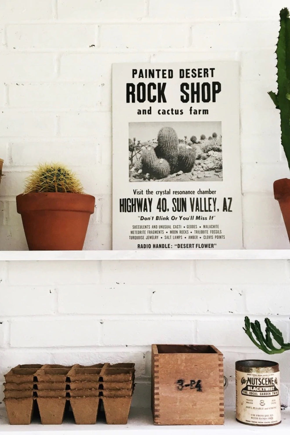 Rock Shop Roadside Poster