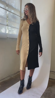Black + Sand Evan Dress
