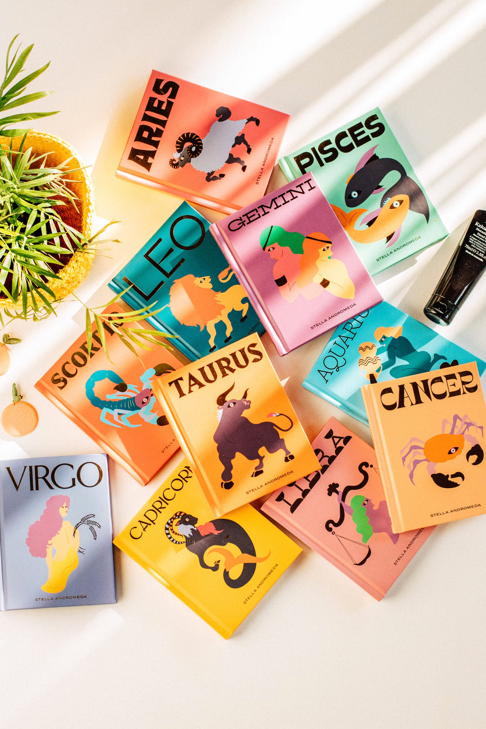 Seeing Stars Horoscope Book