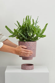Musk Terrazzo Banjo Planter