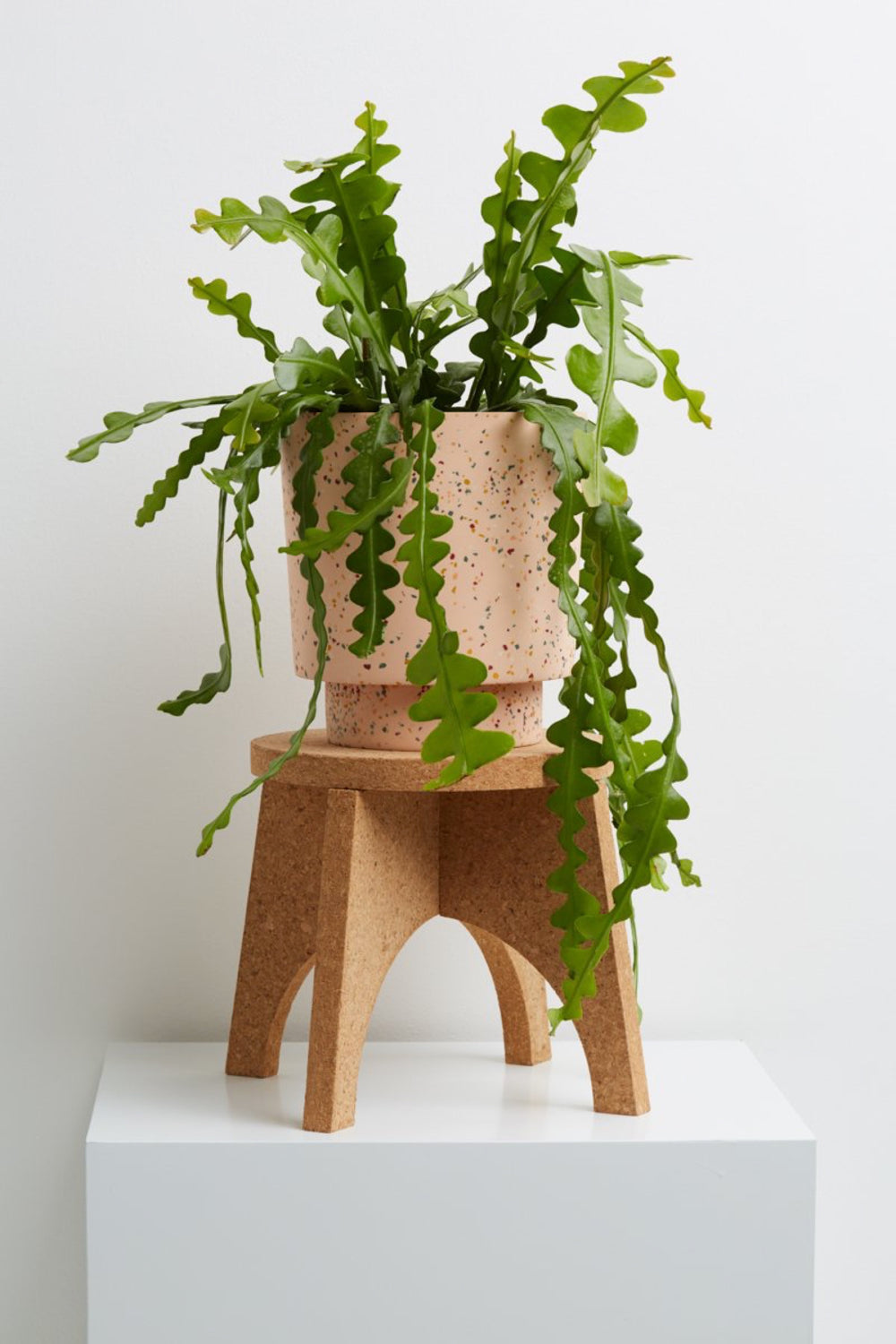 Cork Plant Stand — Prism Boutique